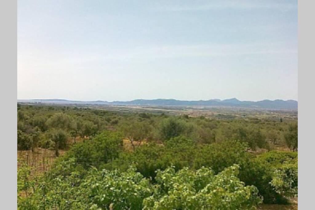 Son Binissalom Villa Palma